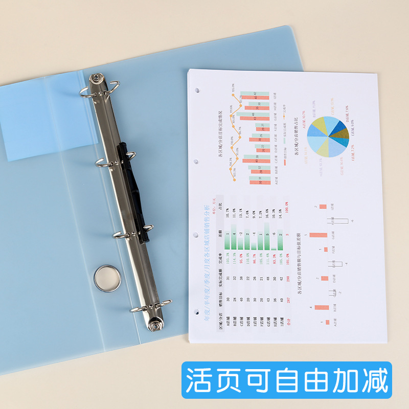 Raccoglitore per punzonatura A - Binder A4 Lever recensione e prezzo