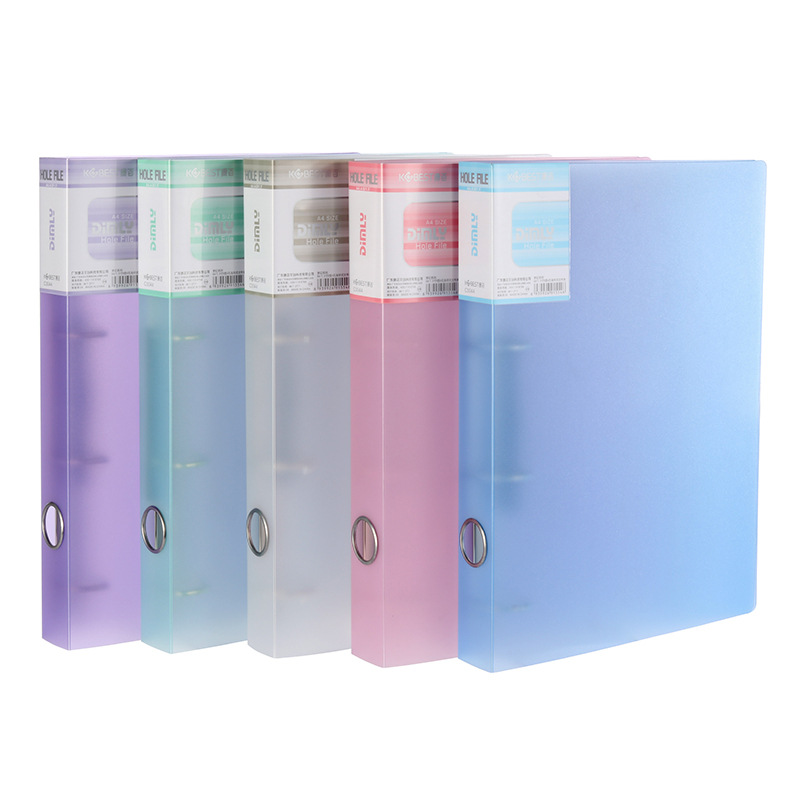 Raccoglitore per punzonatura A - Binder A4 Lever recensione e prezzo