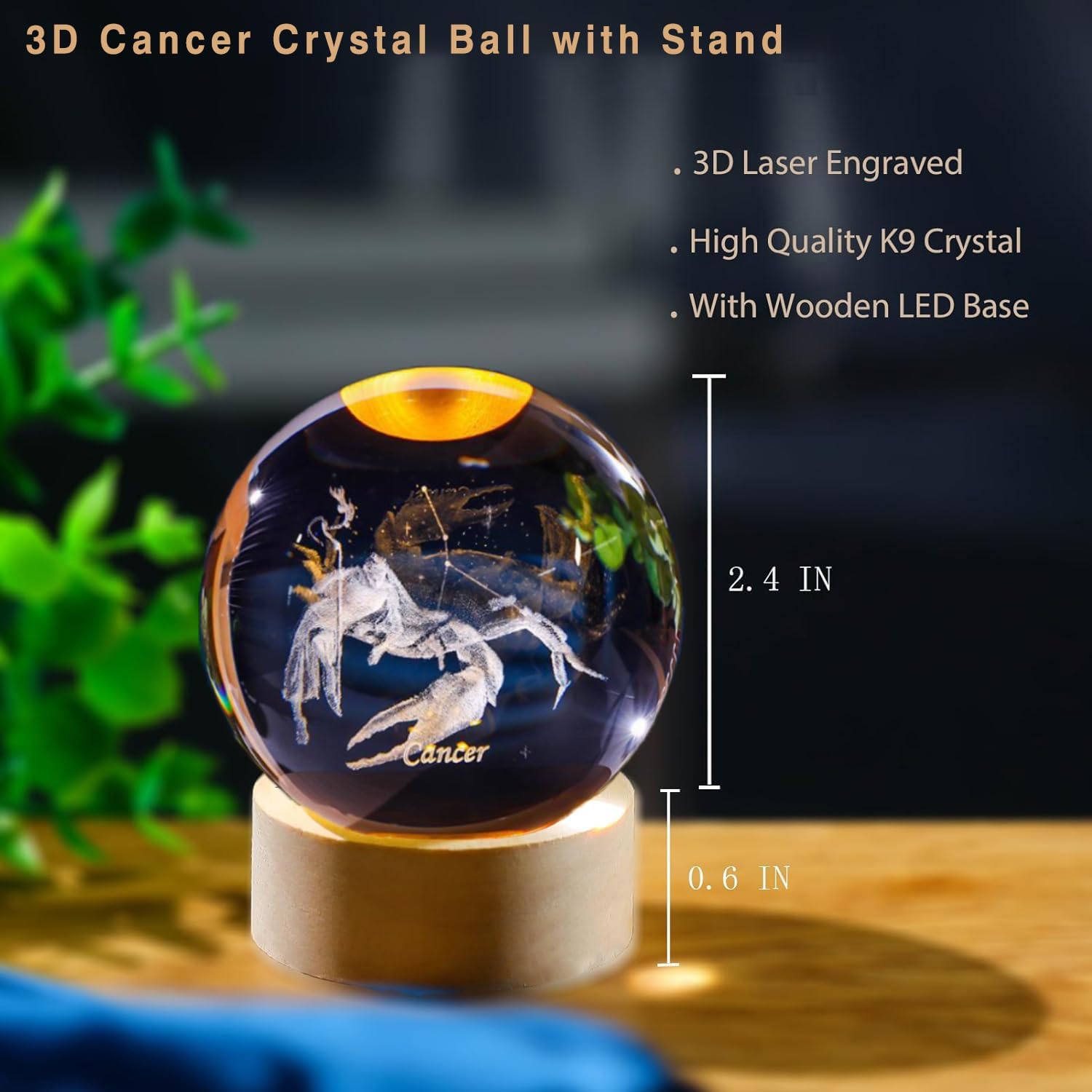 Sfera di cristallo della coste - Paper Weight Crystal recensione e prezzo
